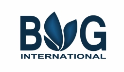 12-BG