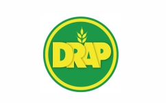 17-drap